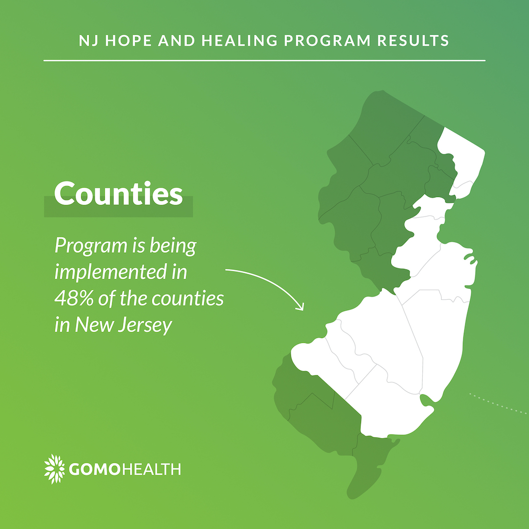 NJ Hope & Healing Results: Counties