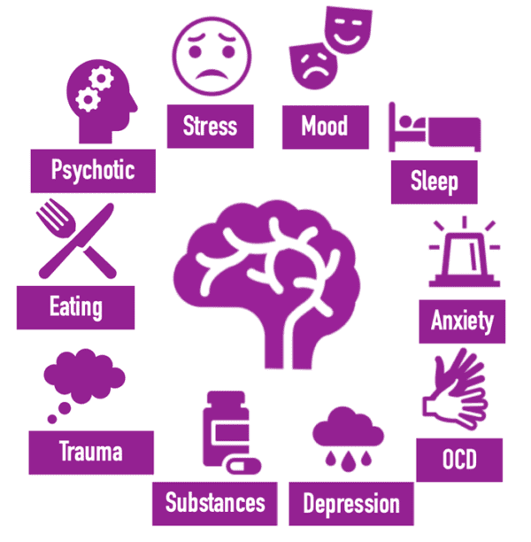 The Brain-Mouth Connection: The Surprising Link Between Oral and Mental ...