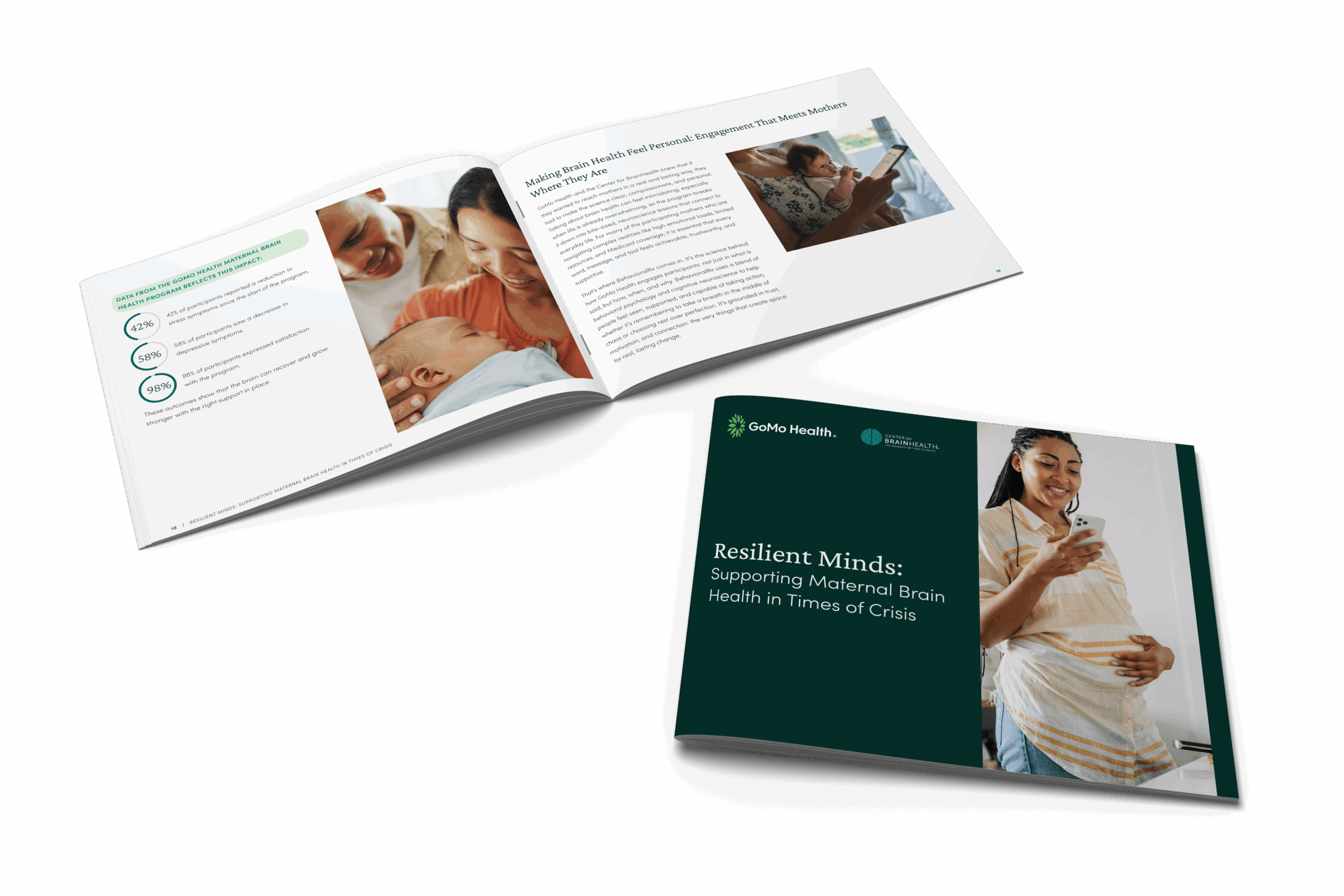 ResilientMinds_WhitePaper-Mockup-transparent-scaled